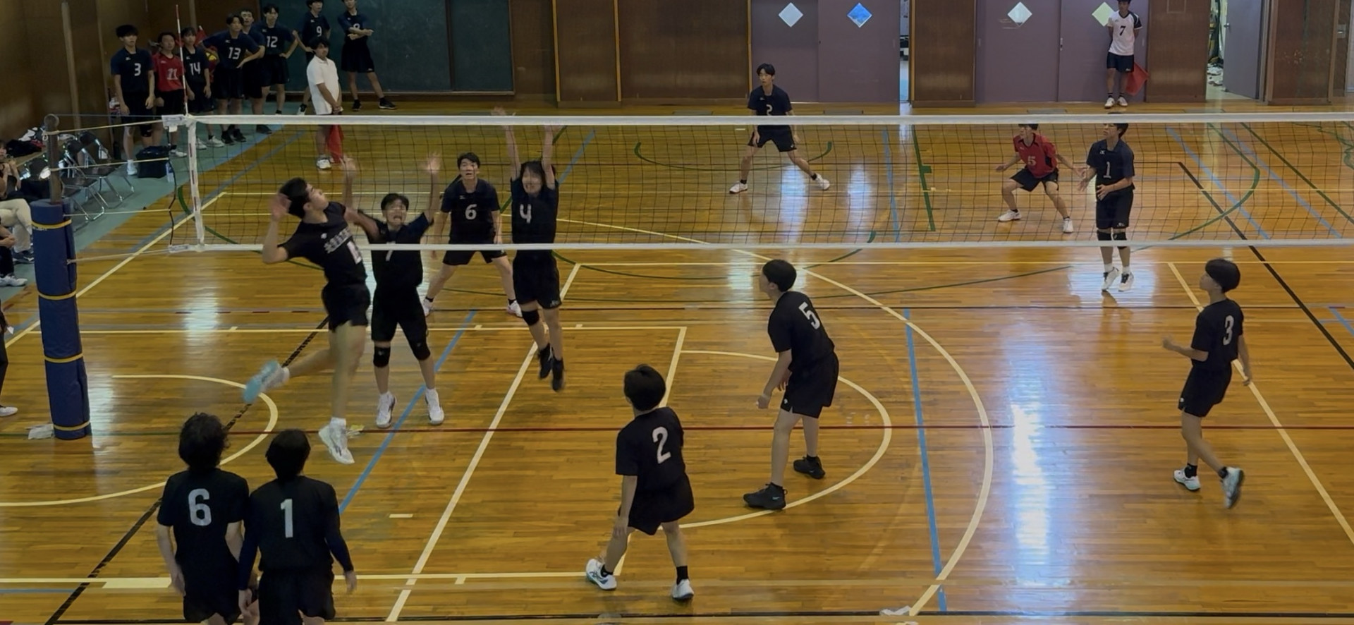 Image (5)
